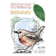 Ciao Bella Clear Stamp Set 4 X6  Bird Study Discount