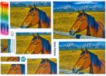 Large Format - Horse Pasture Online Sale