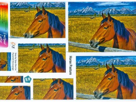 Large Format - Horse Pasture Online Sale