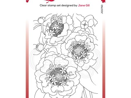 Woodware Clear Singles Zinnia 4 in x 6 in Stamp Online