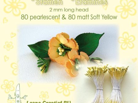 Stamen 2mm, 80 Matte & 80 Pearl Soft Yellow Online now