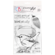 Ciao Bella Clear Stamp Set 4 X6  Bird Study Discount