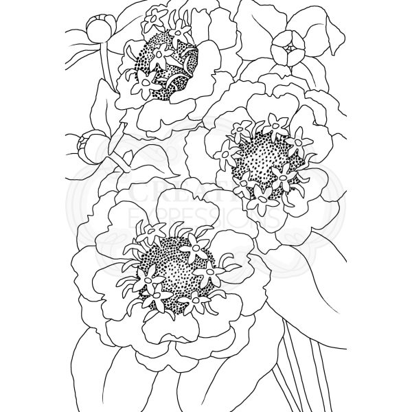 Woodware Clear Singles Zinnia 4 in x 6 in Stamp Online