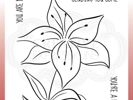 Woodware Clear Singles Lily Sketch 4 in x 6 in Stamp Hot on Sale