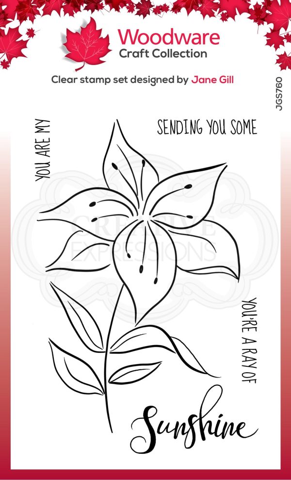 Woodware Clear Singles Lily Sketch 4 in x 6 in Stamp Hot on Sale