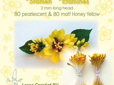 Stamen 2mm, 80 Matte & 80 Pearl Honey Yellow Fashion